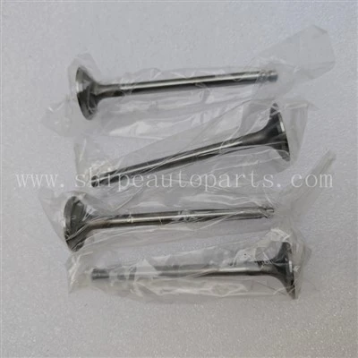 490B-03015 Injap Ekzos Untuk Enjin XINCHAI C490BPG HELI